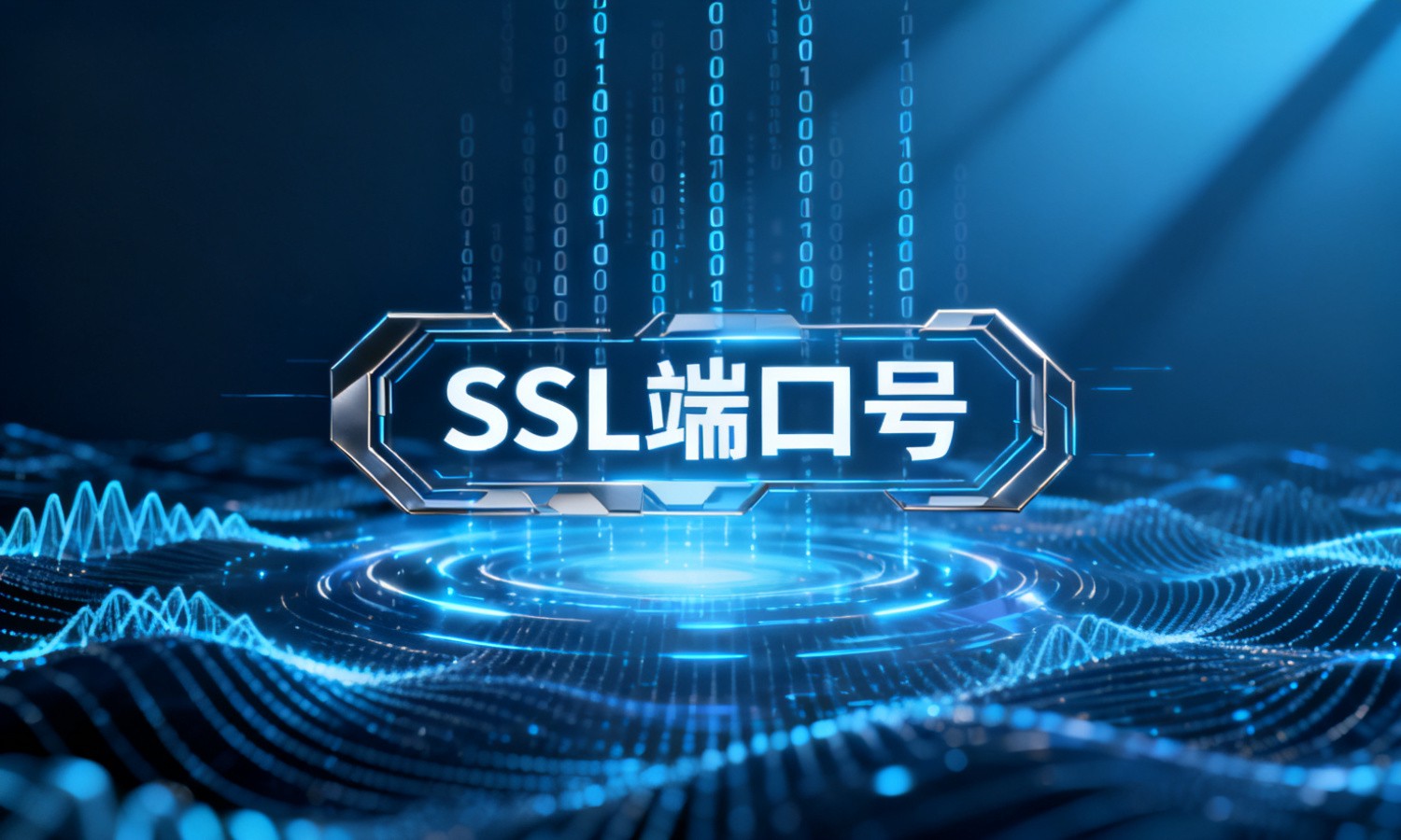 SSL端口号