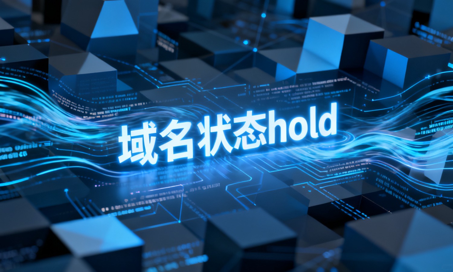 域名状态hold