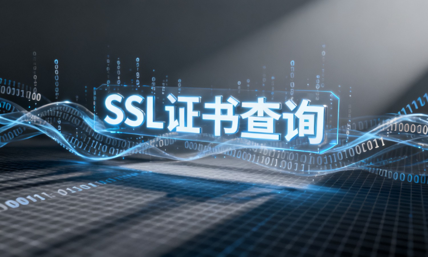 SSL证书查询