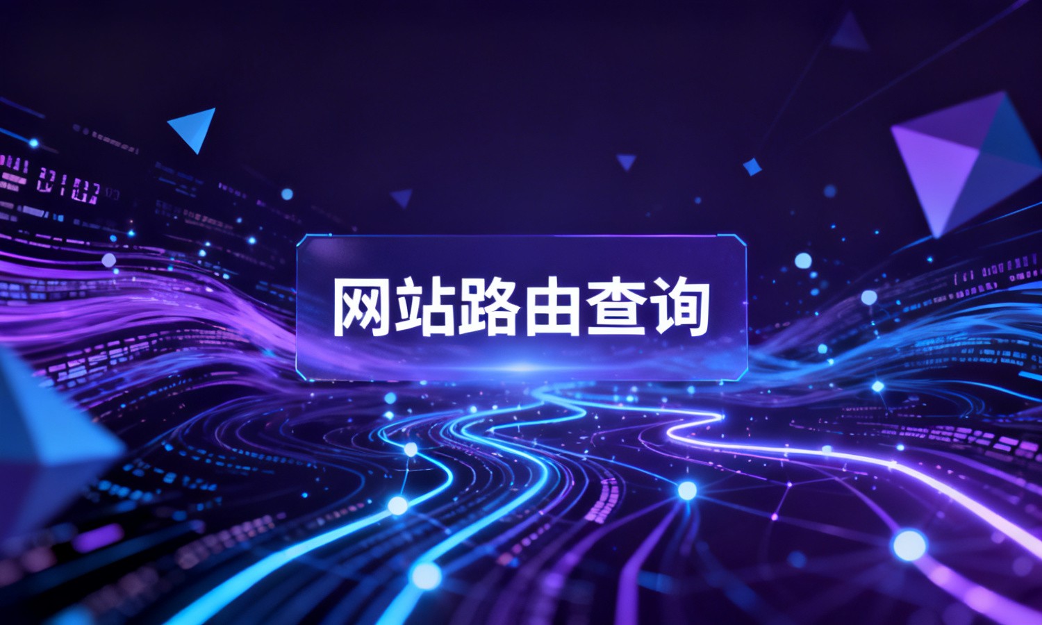 网站路由查询