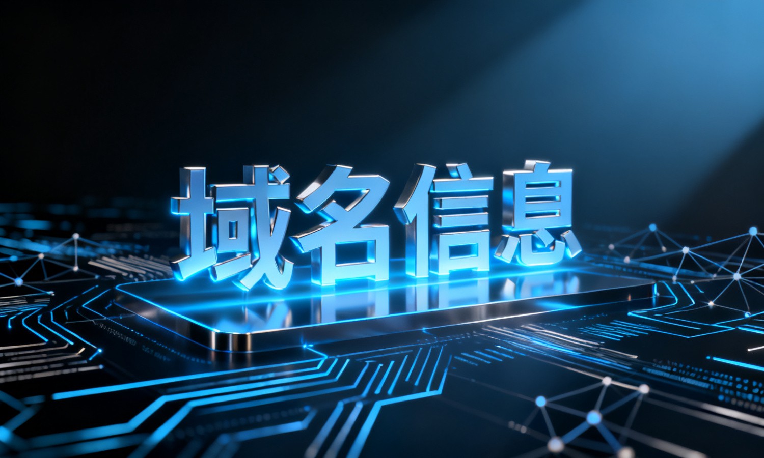 域名信息