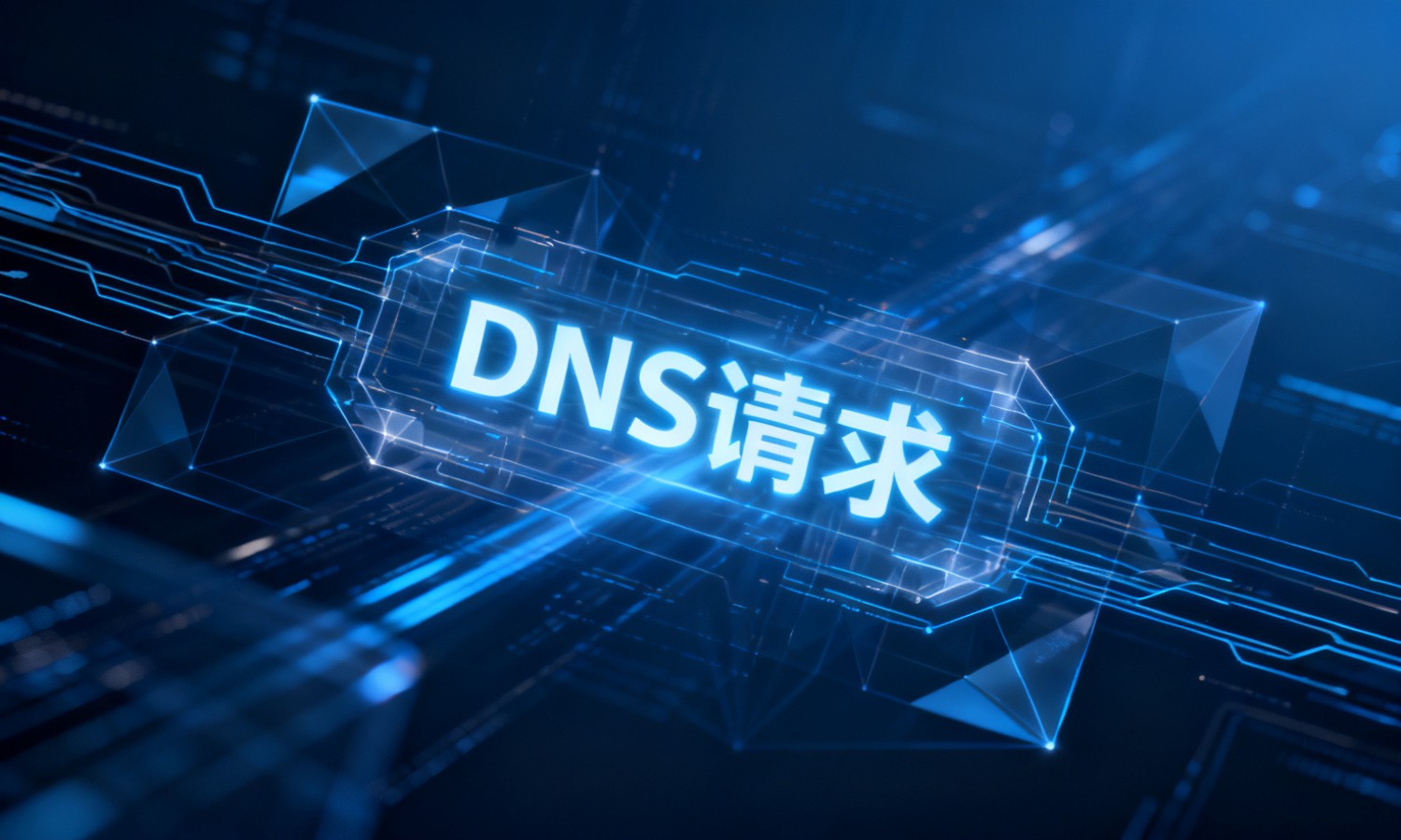 DNS请求