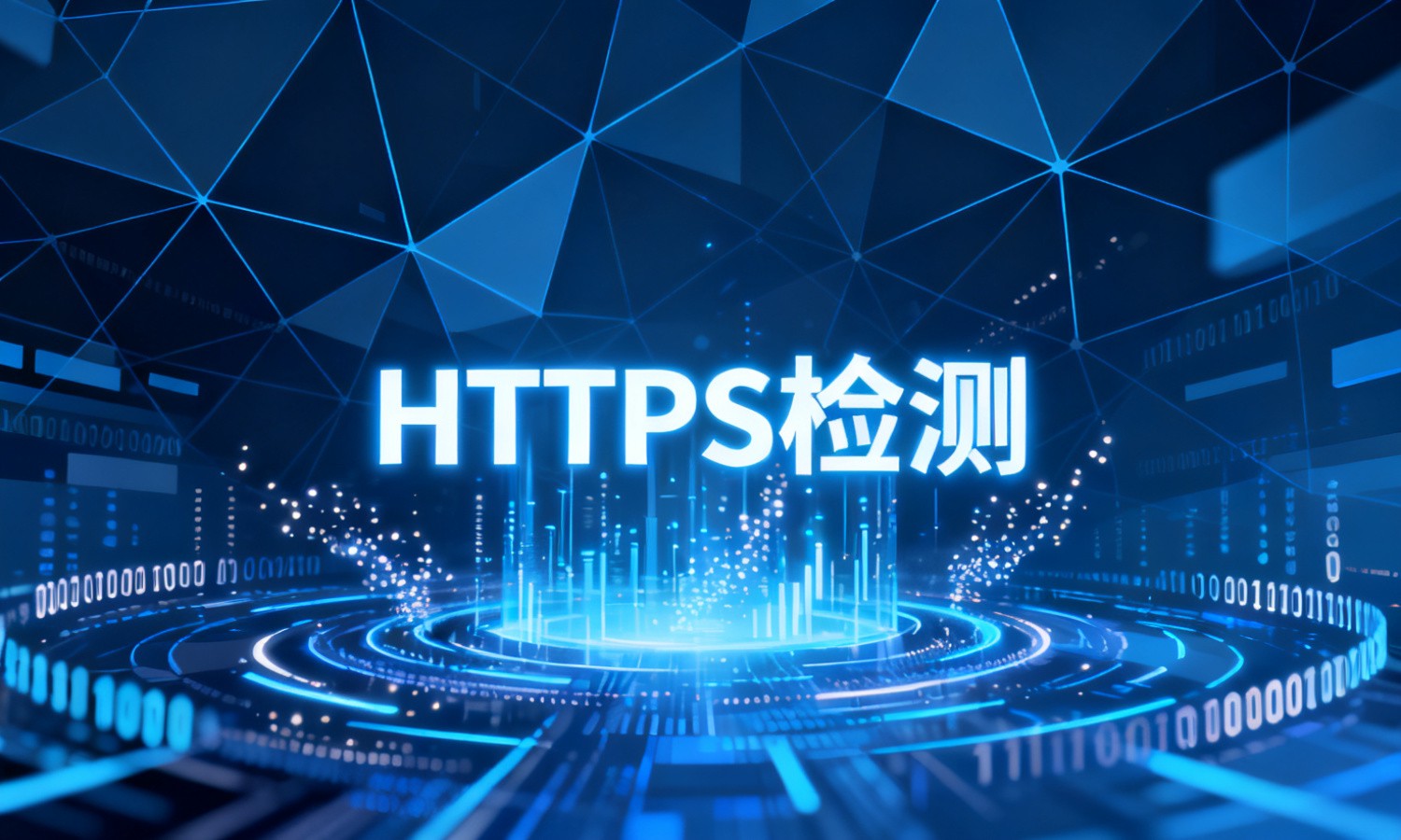 HTTPS检测