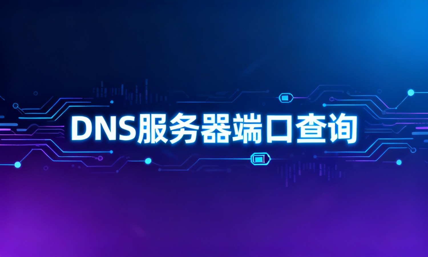DNS服务器端口查询