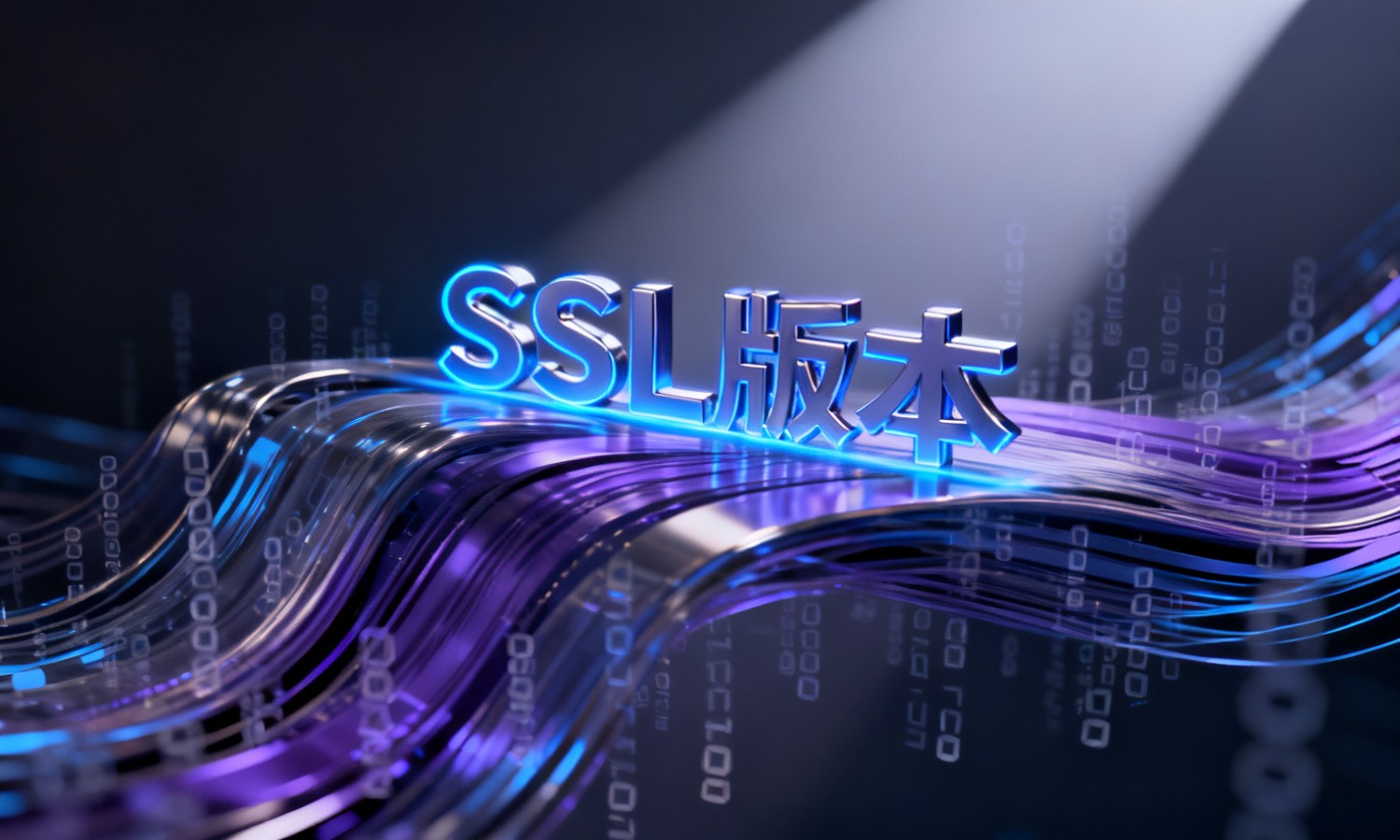SSL版本