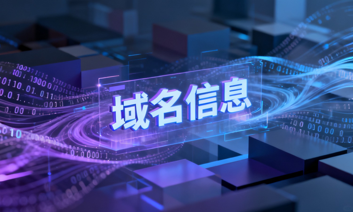 域名信息