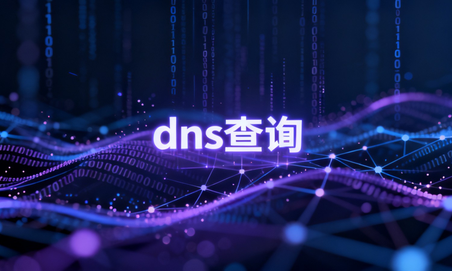 dns查询