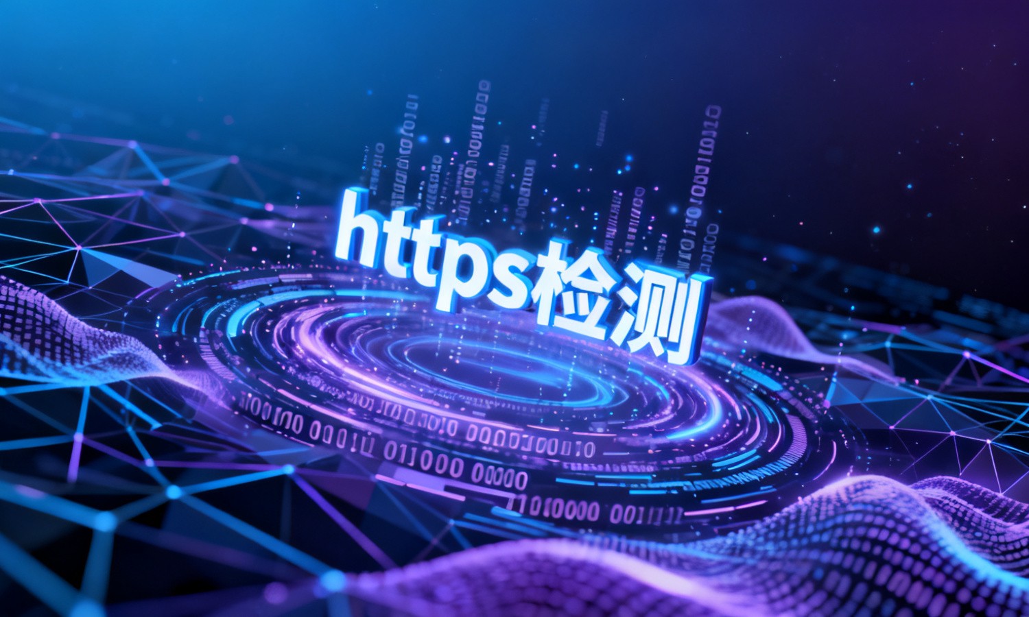 https检测