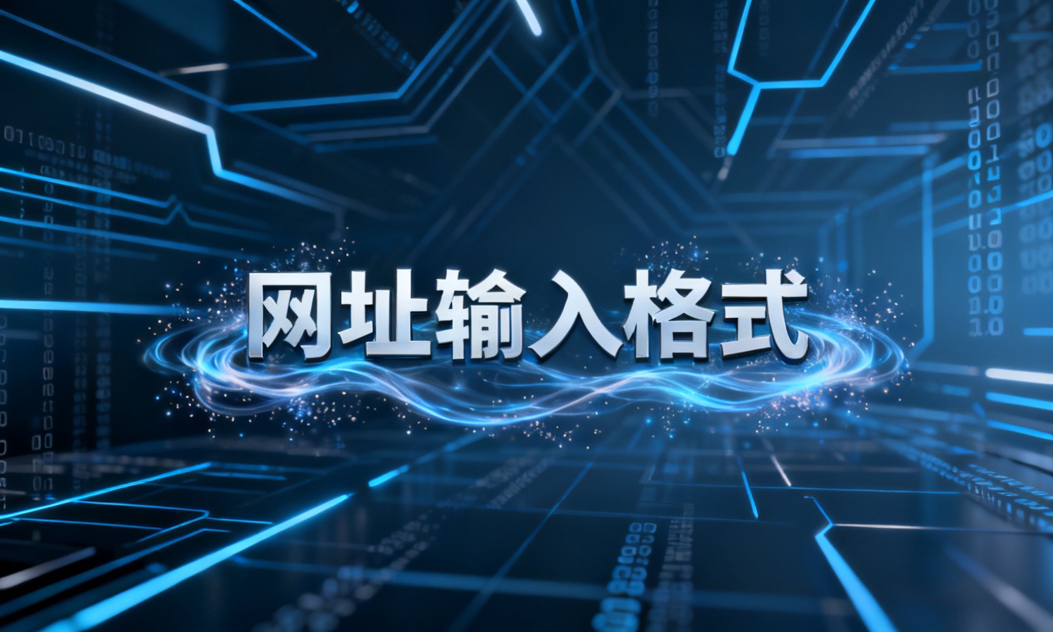 网址输入格式