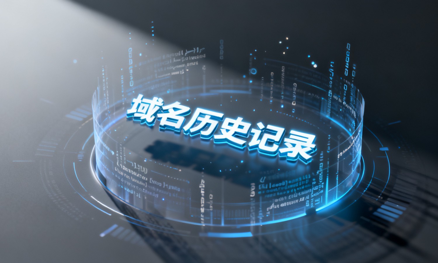 域名历史记录