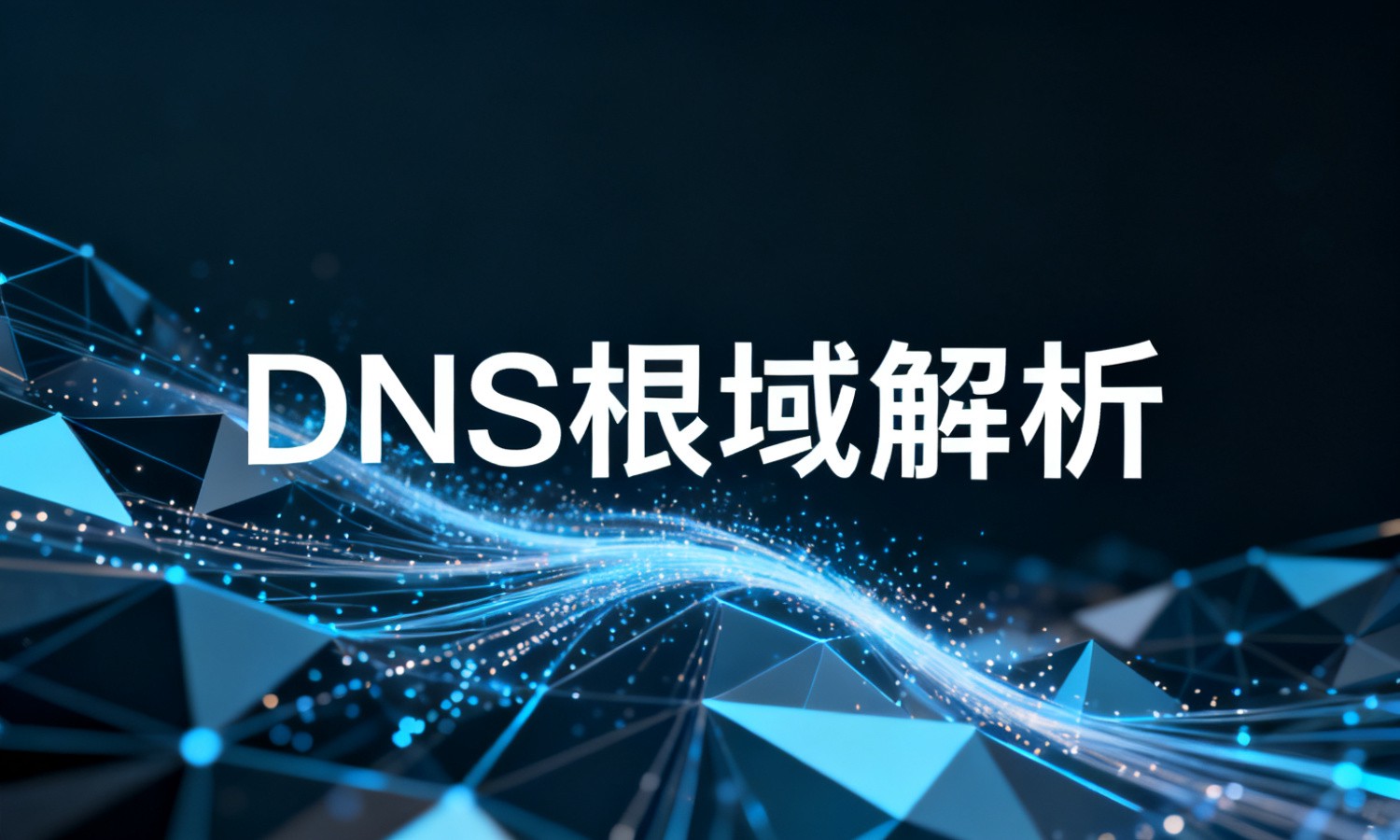 DNS根域解析