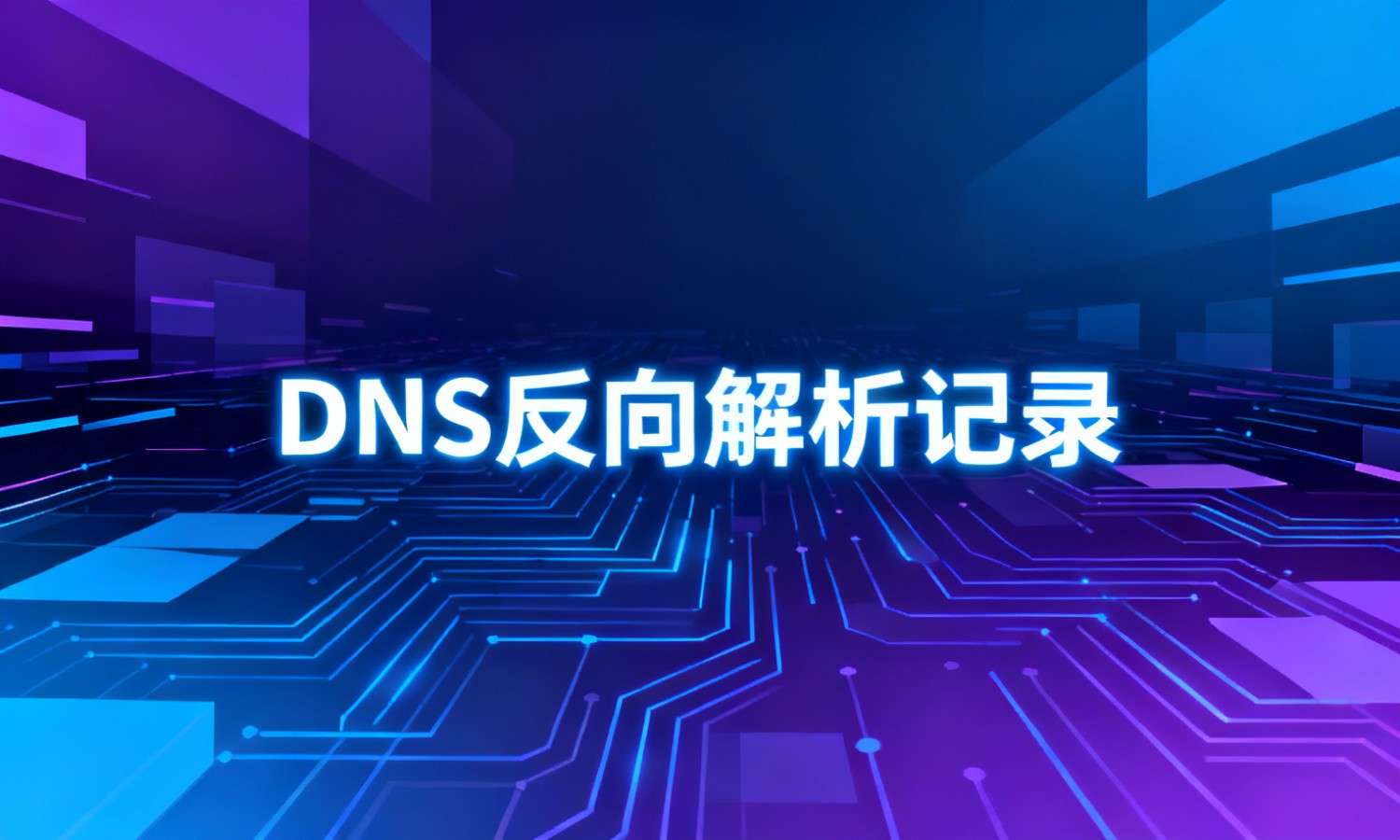 DNS反向解析记录