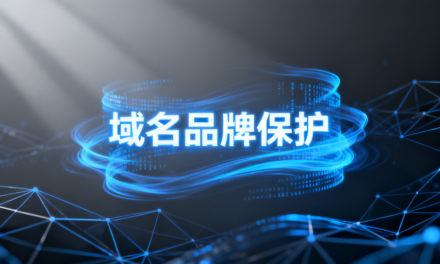域名品牌保护