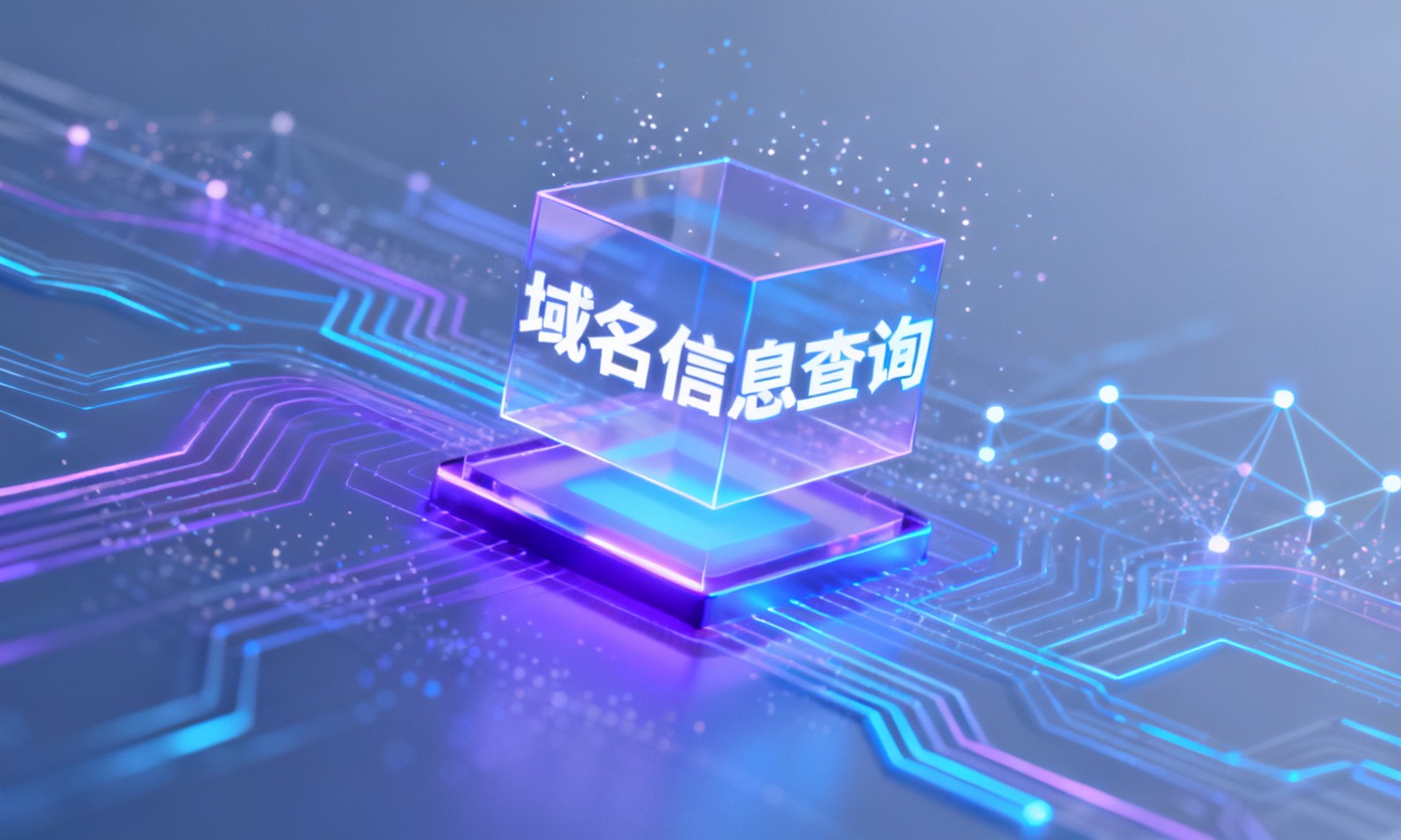 域名信息查询