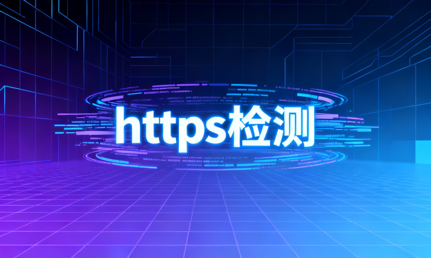https检测