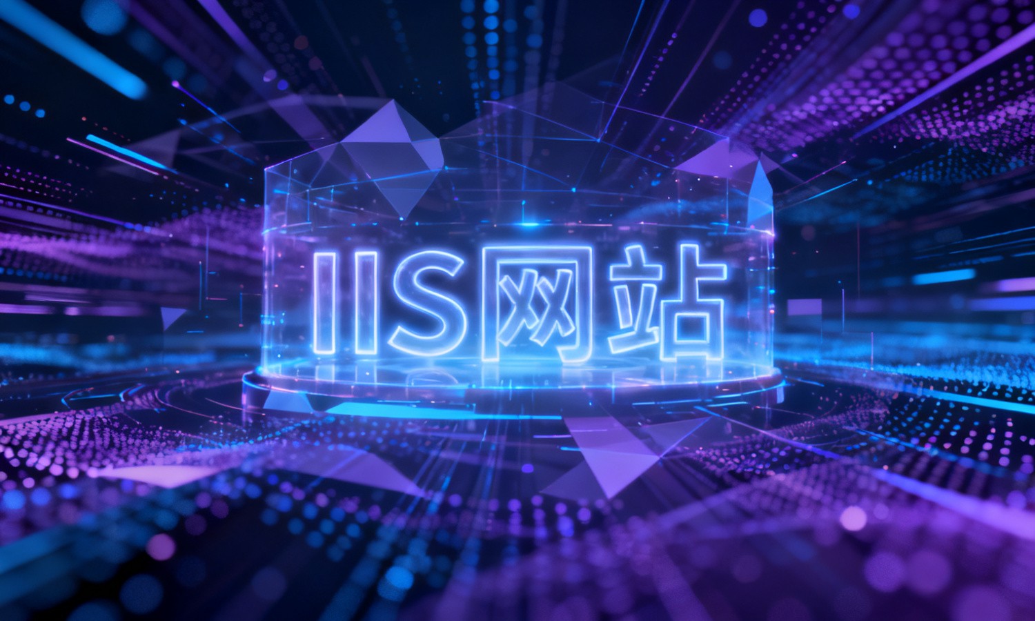 IIS网站