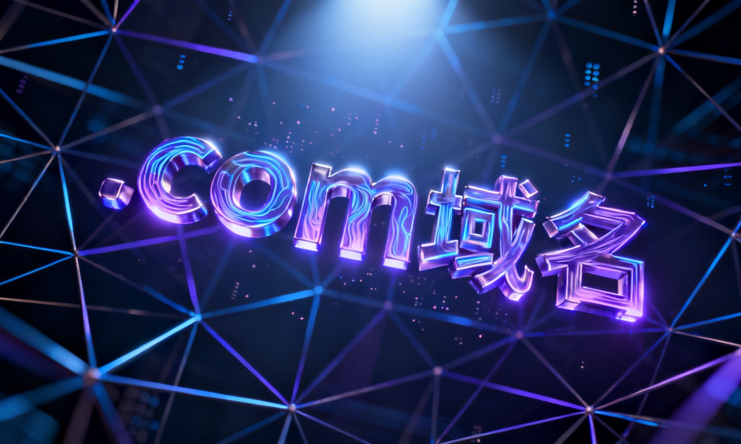 .com域名