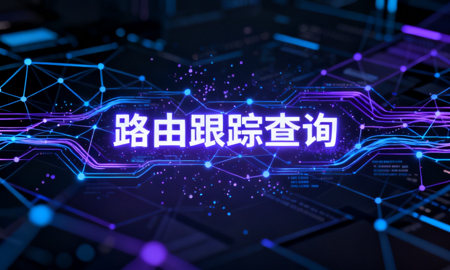 路由跟踪查询