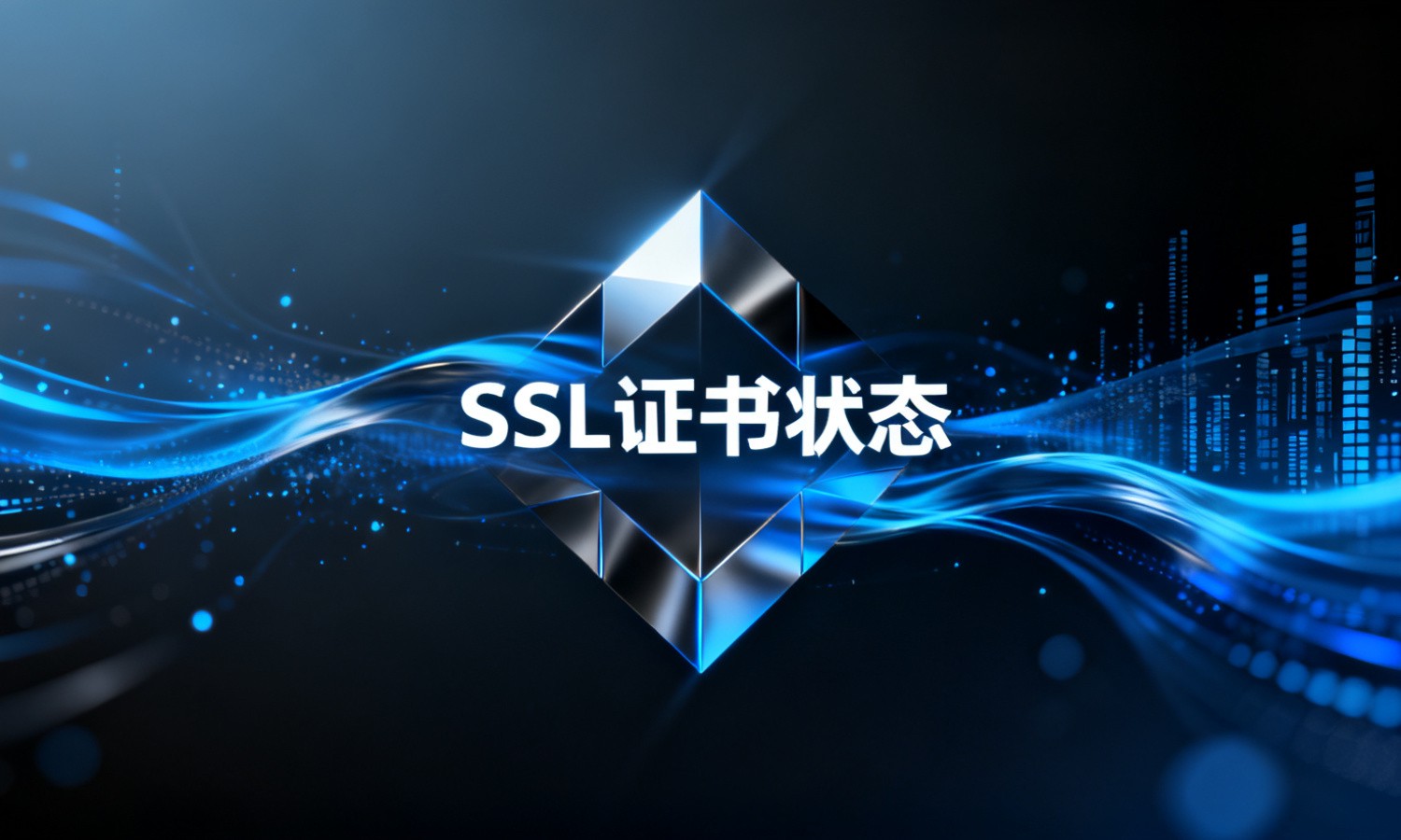 SSL证书状态