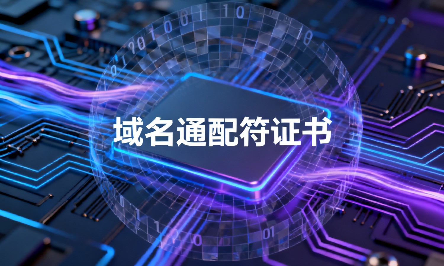 域名通配符证书
