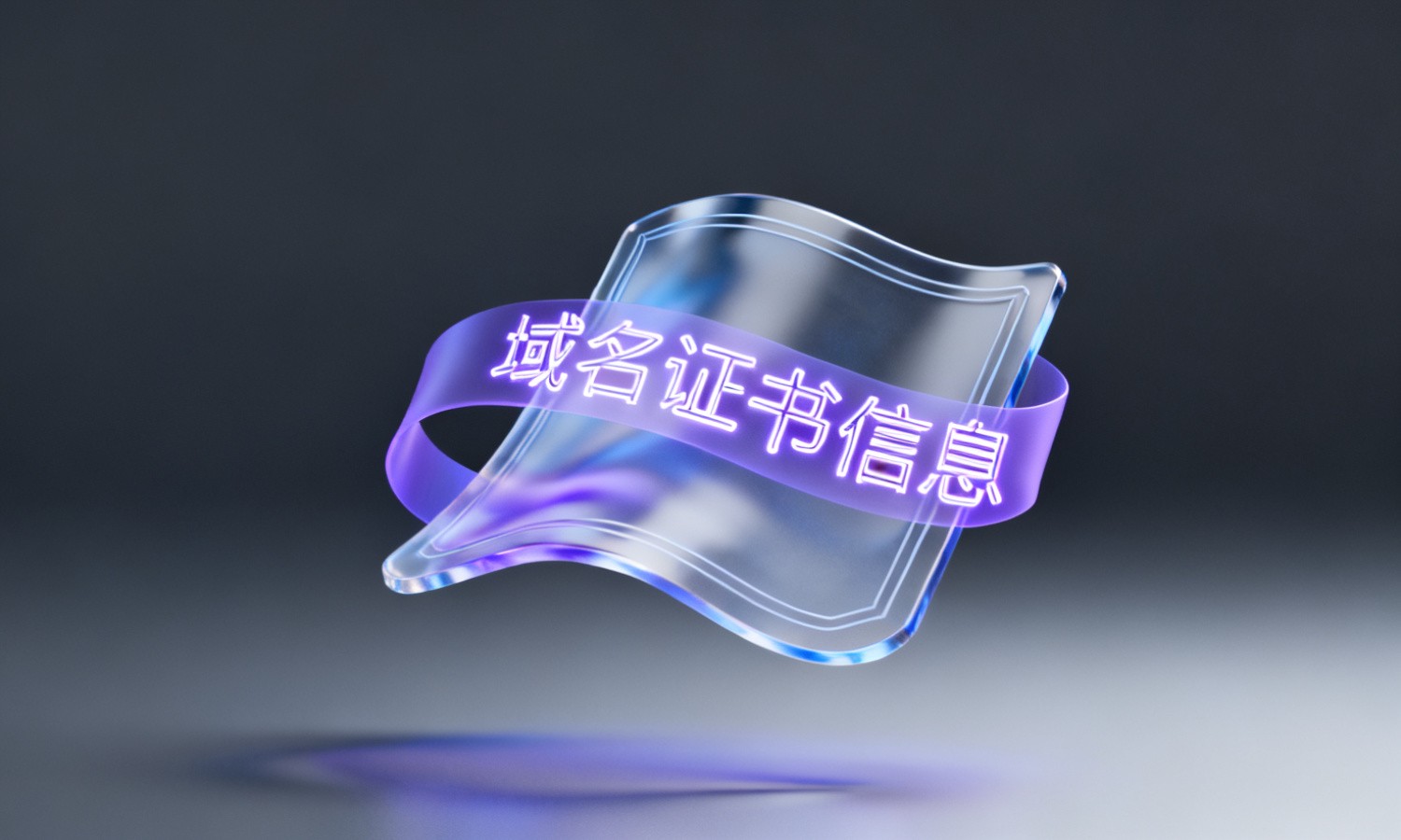 域名证书信息
