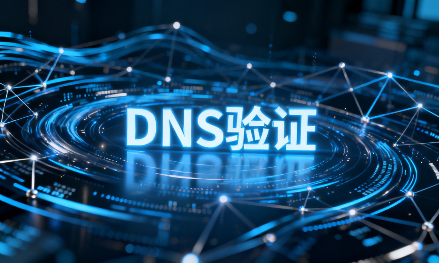 DNS验证