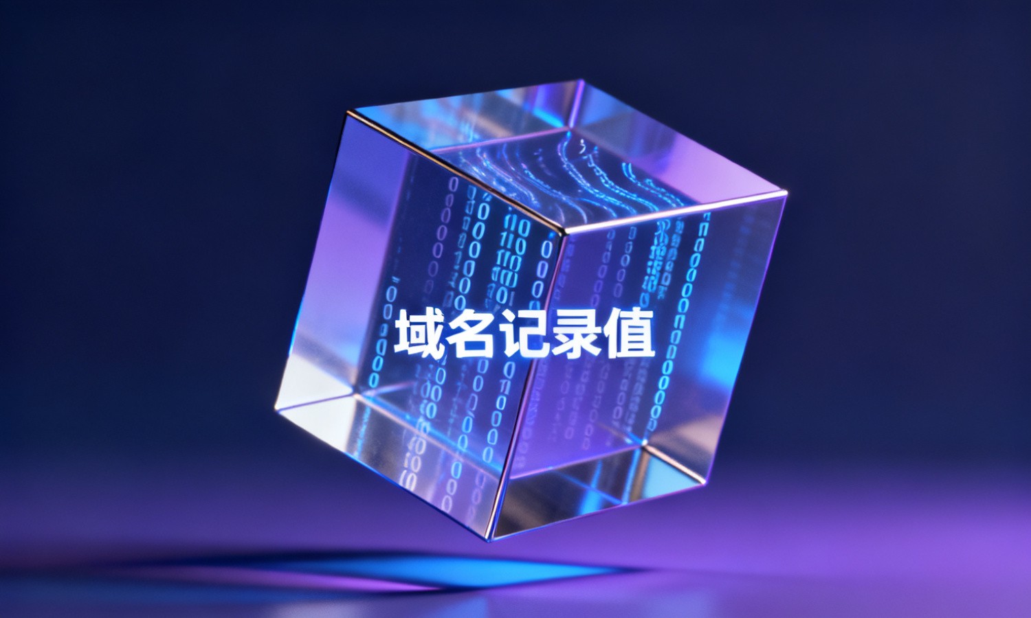 域名记录值
