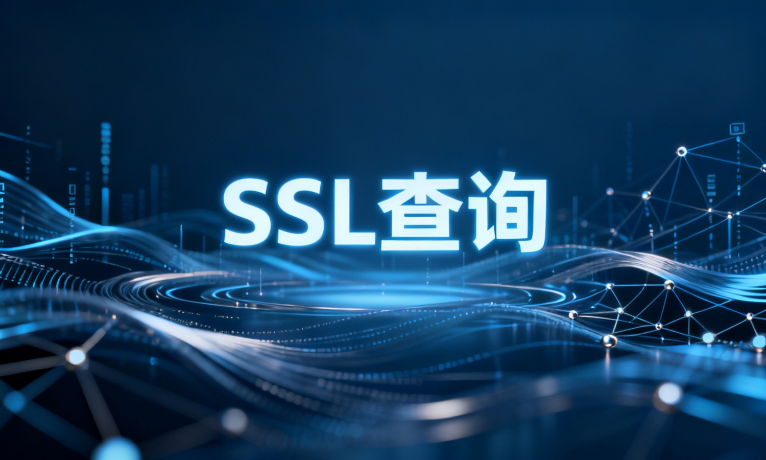 SSL查询