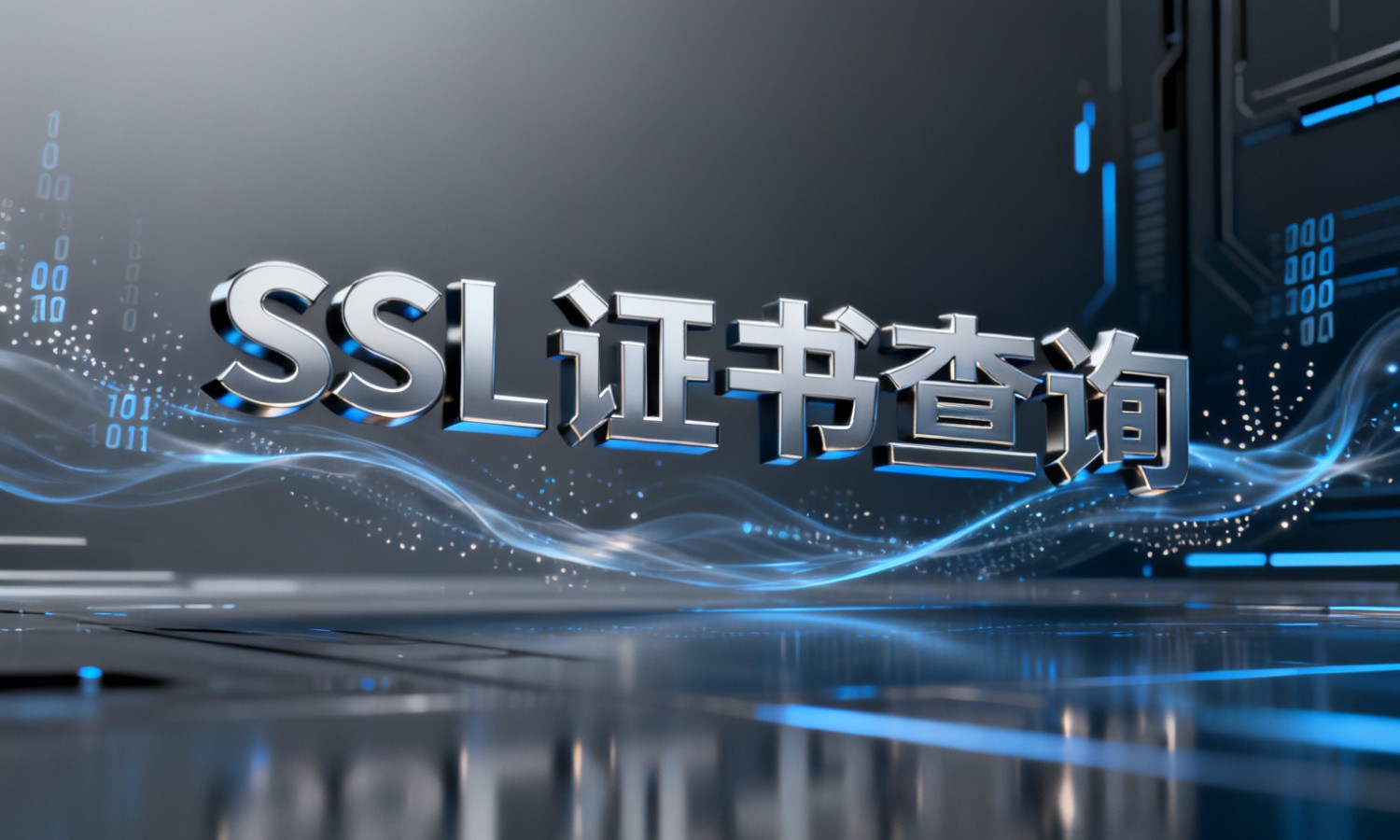 SSL证书查询