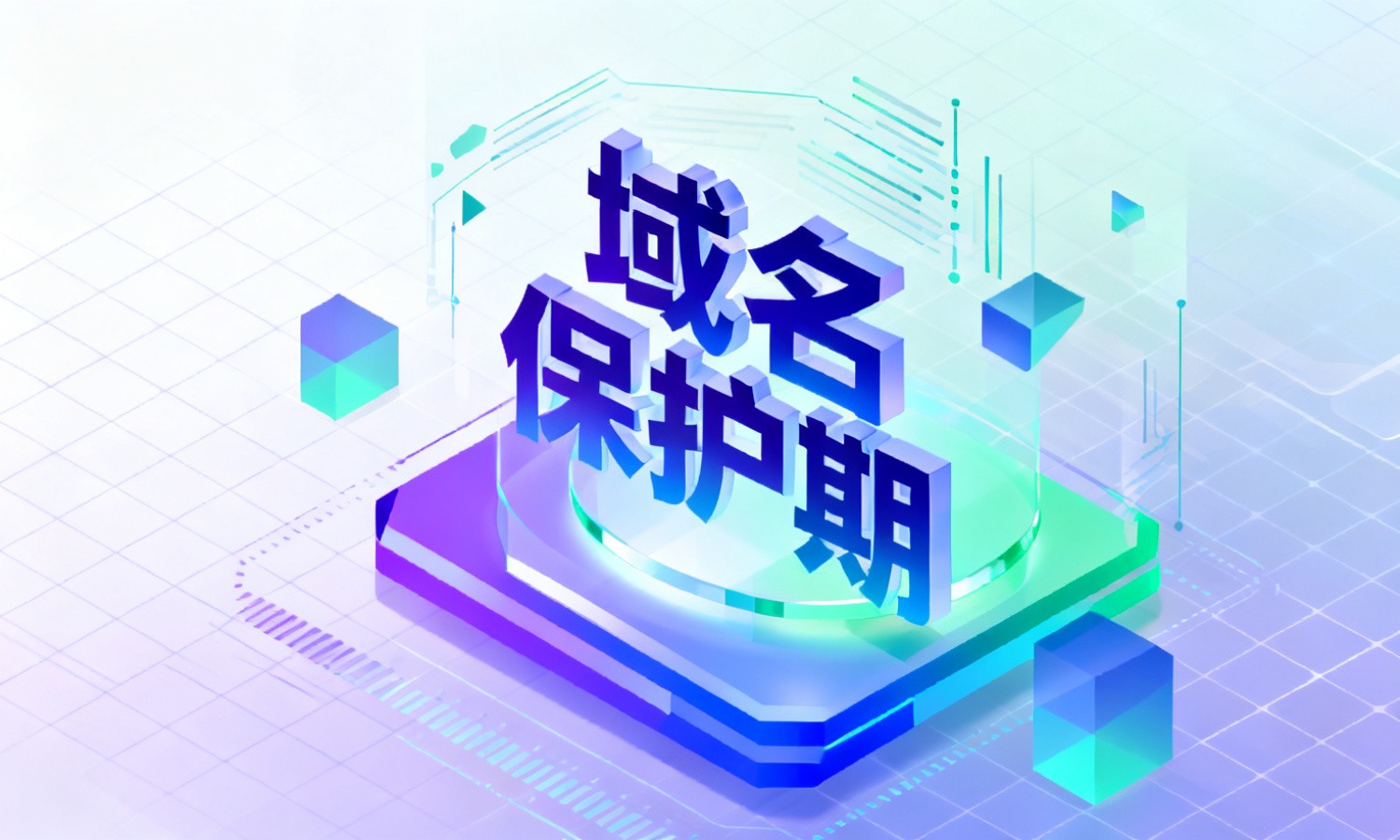 域名保护期