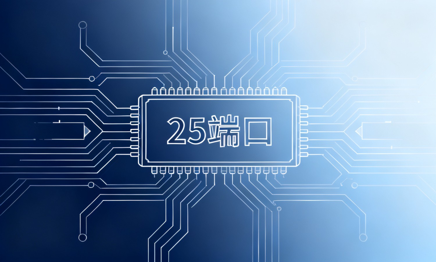 25端口