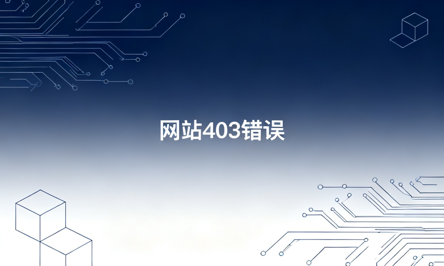 网站403错误