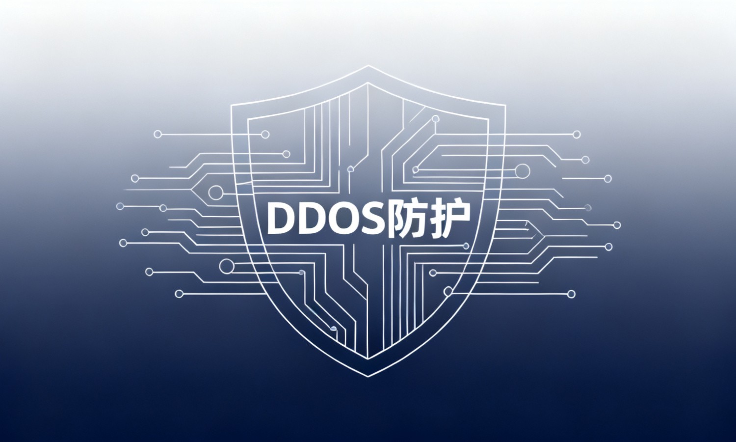 DDoS防护