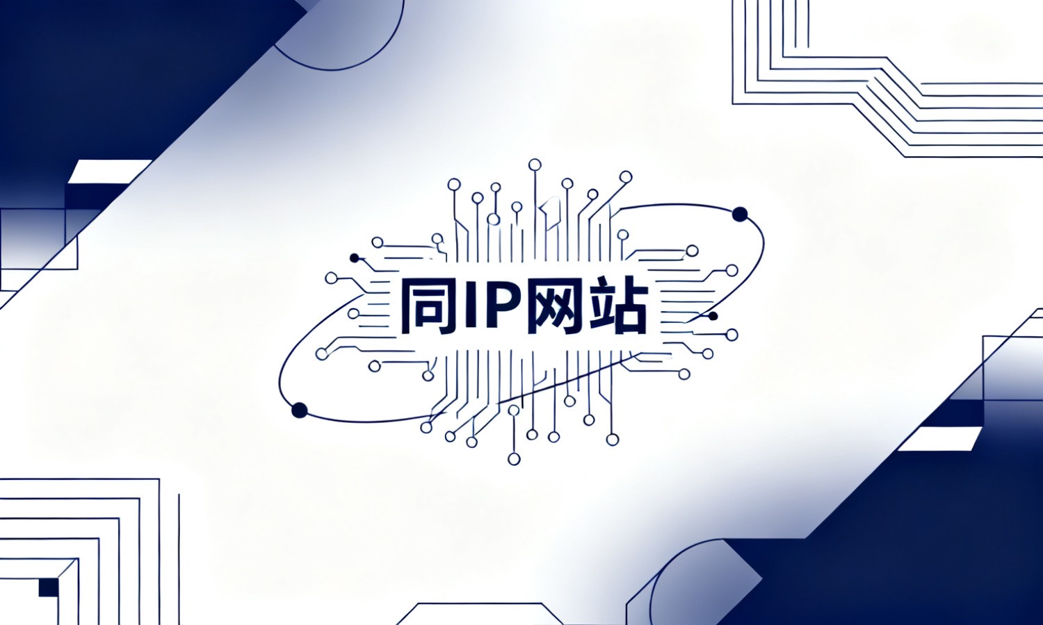 同IP网站