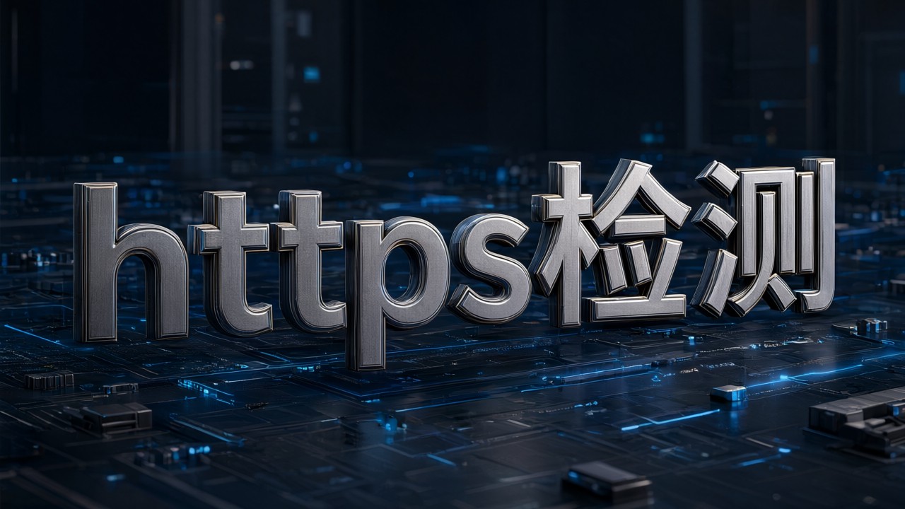 https检测