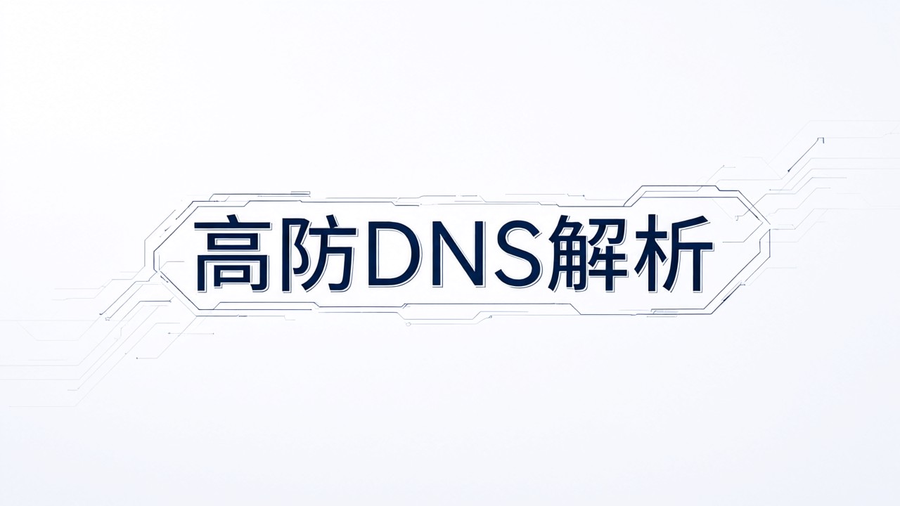 高防DNS解析