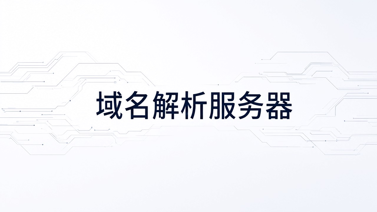 域名解析服务器