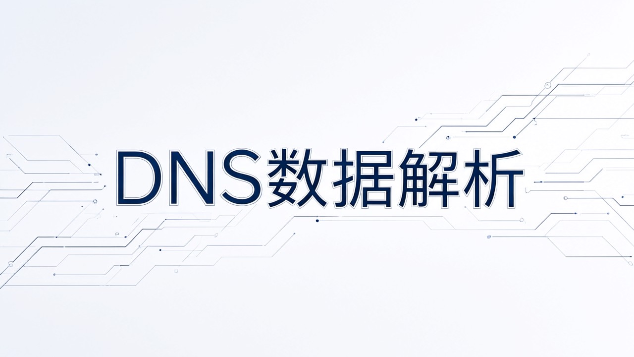 DNS数据解析