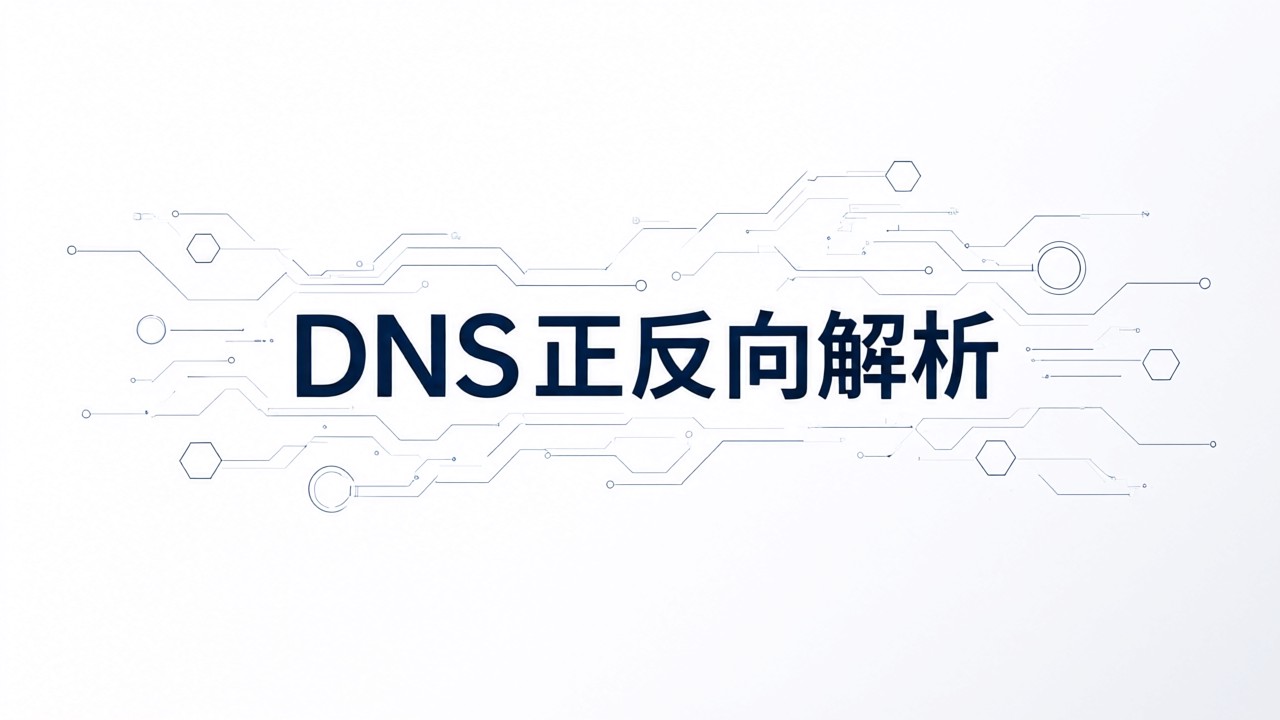 DNS正反向解析