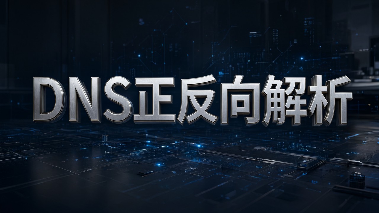 DNS正反向解析