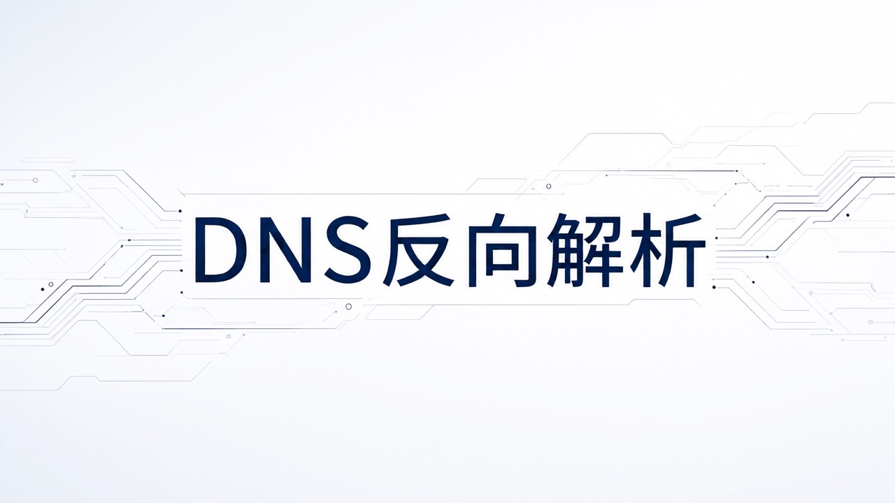 DNS反向解析