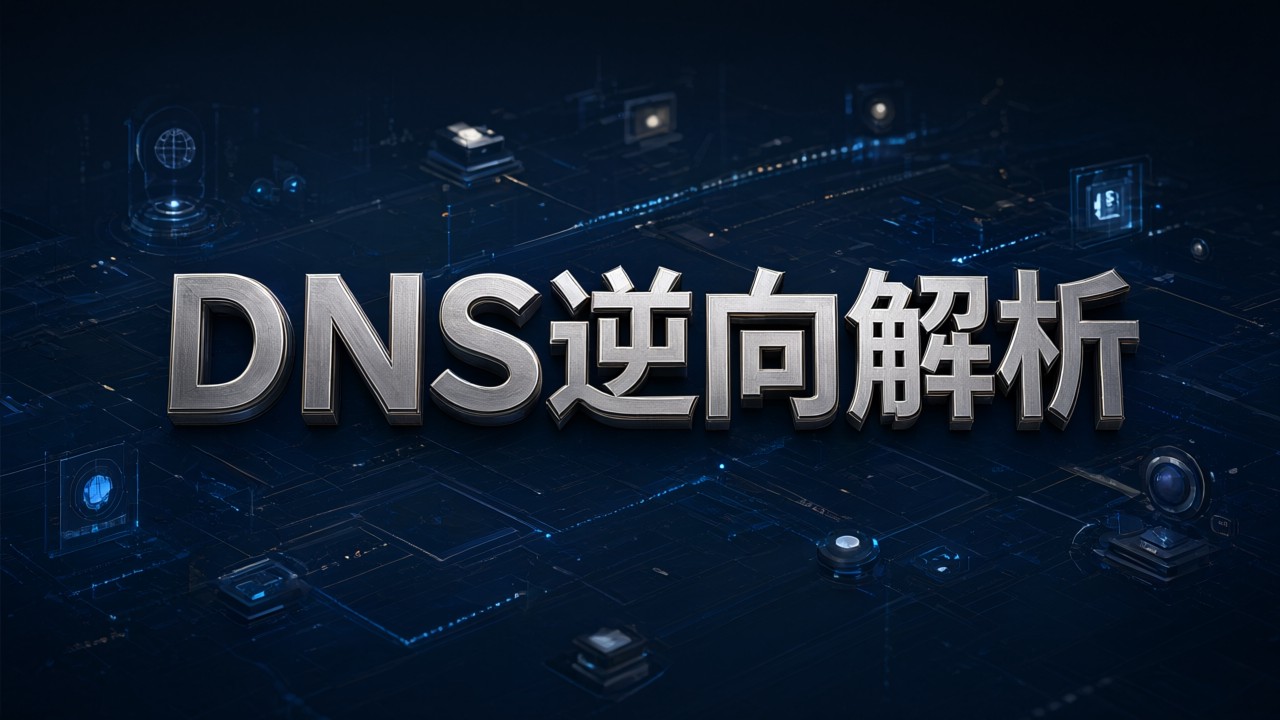 DNS逆向解析