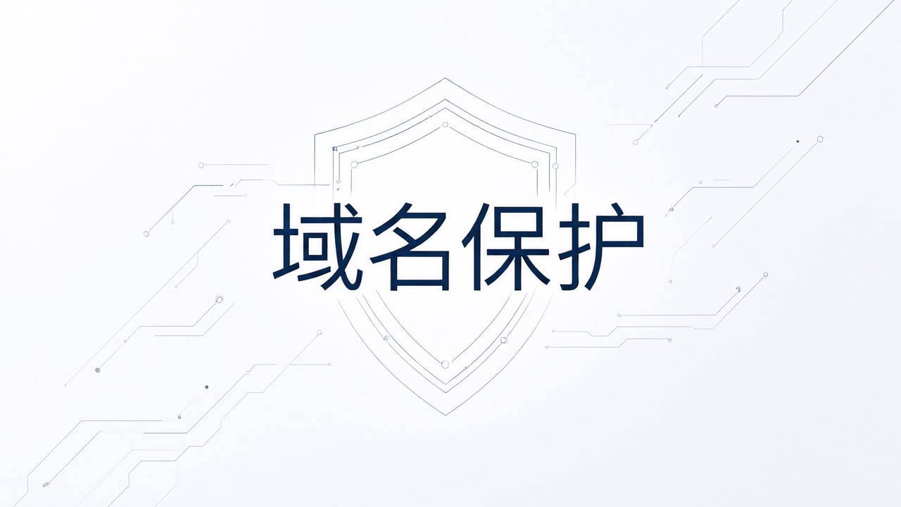 域名保护