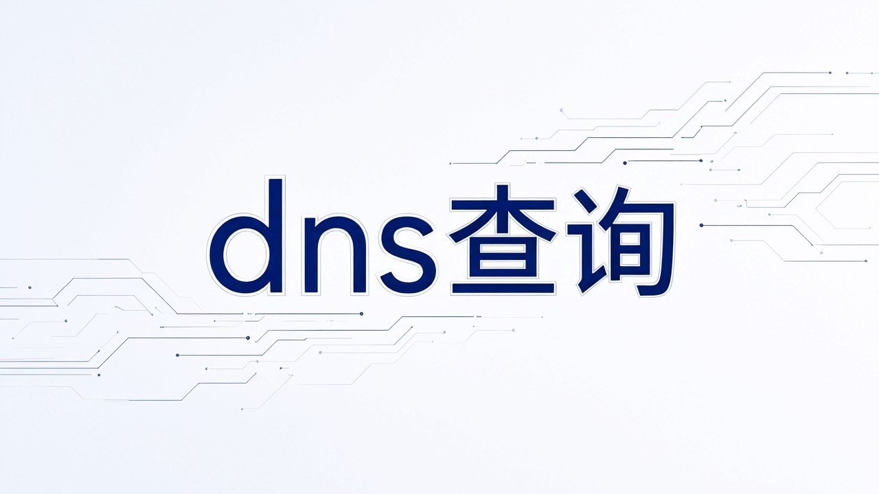dns查询