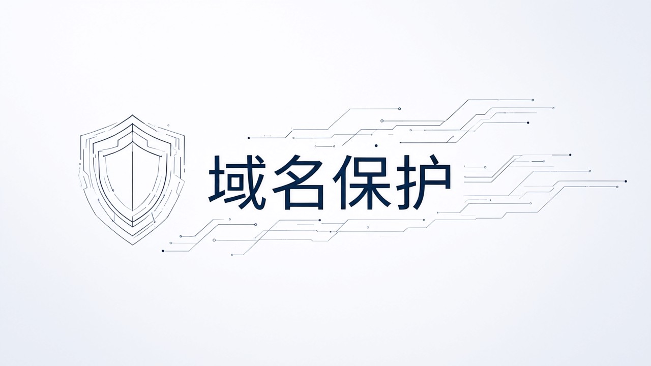 域名保护