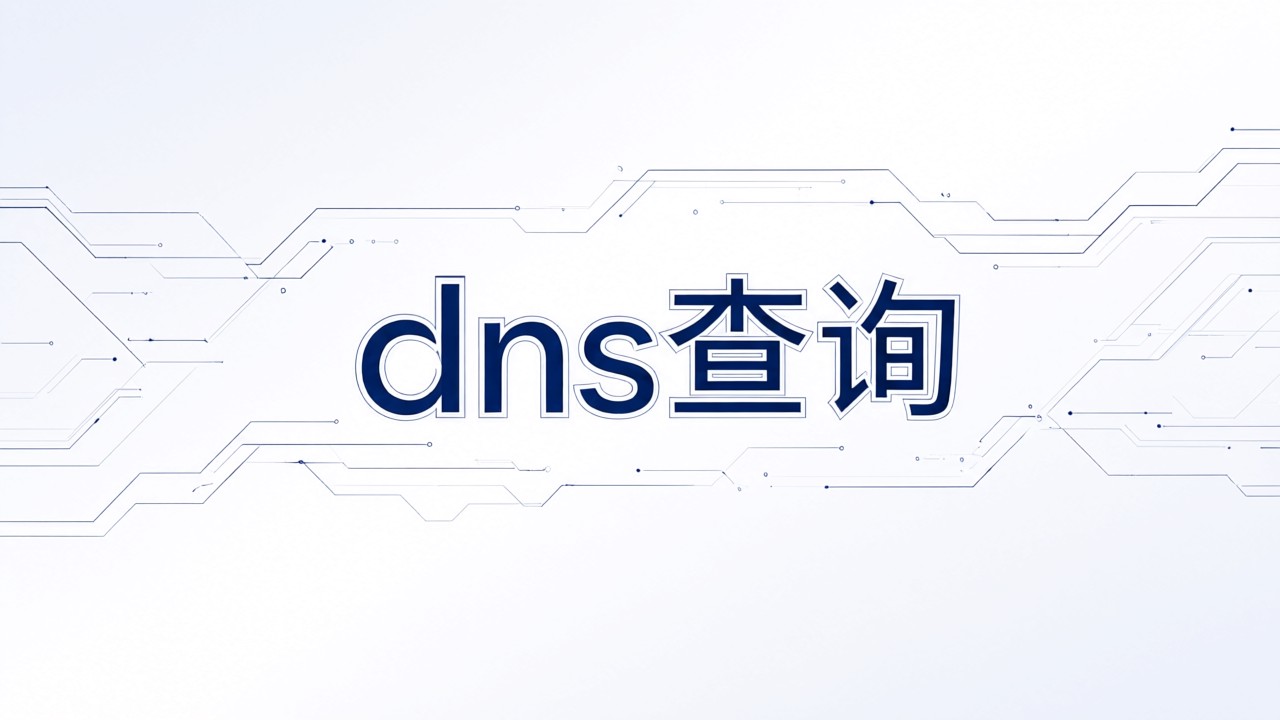 dns查询